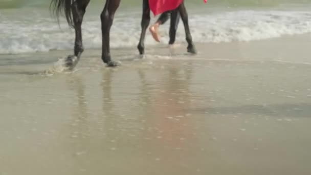 Μια Νεαρή Γυναίκα Κόκκινο Φόρεμα Κάθεται Ένα Άλογο Που Στέκεται — Αρχείο Βίντεο
