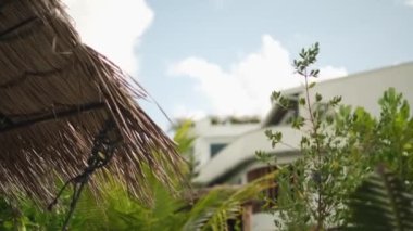 Palmiye ağaçları ve bulutlu bir gökyüzüne karşı çatılı bir bungalov. Maldivler. Yavaş Hareket.