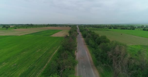 Drone Vliegt Een Landweggetje Zijn Velden Groene Bomen Zonnige Zomerdag — Stockvideo