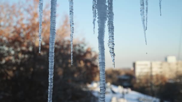 Penceredeki Buz Saçakları Kışın Gökyüzünün Şehrin Arka Planına Karşı Bahar — Stok video