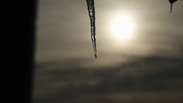 Den Nedgående Solen Bakom Istappar Hänger Fönstret Vinter Närbild — Stockvideo
