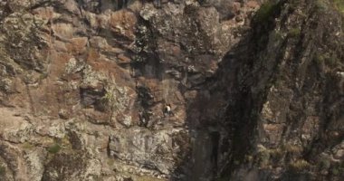 Drone, dik bir uçuruma tırmanan genç bir atletik kadın tırmanıcının üzerinden uçuyor. Hava Görünümü