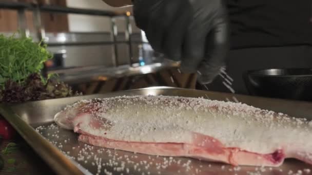 Chef Guanti Insalatura Peppering Pesce Sdraiato Sul Tavolo Della Cucina — Video Stock