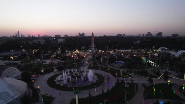 Drone Flies Amusement Park Carousels Ferris Wheel Night Aerial View — Stock Video
