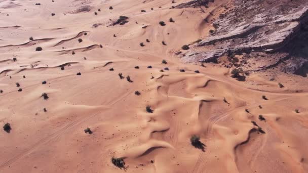 Drone Sorvola Una Carovana Carrozze Che Attraversano Sabbia Del Deserto — Video Stock