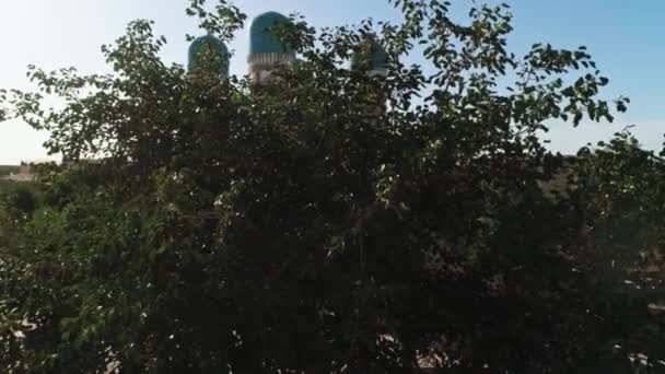 Беспилотник Пролетает Мимо Дерева Возле Младшего Чора Медресе Халифа Нияз — стоковое видео