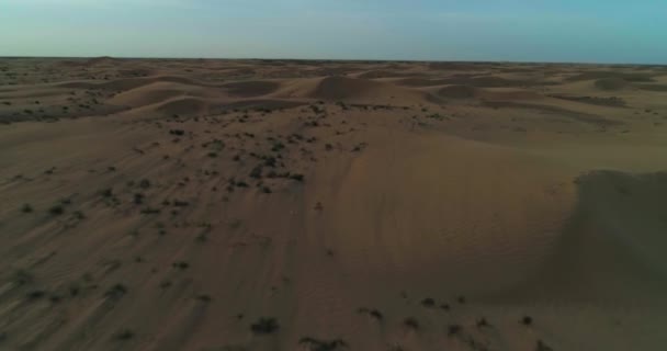 Nsansız Hava Aracı Çölün Kum Tepelerinin Üzerinden Uçuyor Hava Görünümü — Stok video
