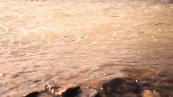 Ondas Rio Com Lama Durante Chuva Dia Primavera Nublado — Vídeo de Stock