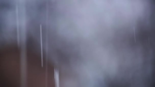 Alberi Giardino Durante Pioggia Sullo Sfondo Della Casa Nuvoloso Giorno — Video Stock
