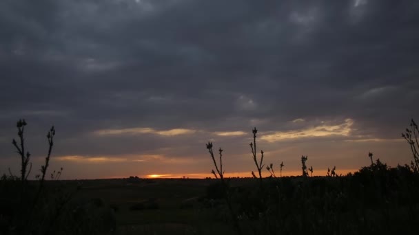 Západ Slunce Nad Kopci Popředí Jsou Siluety Keřů Květin Zatažený — Stock video