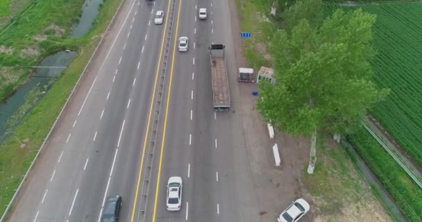 Egy Drón Elrepül Egy Kamion Mellett Autópályán Körül Zöld Mezők — Stock videók
