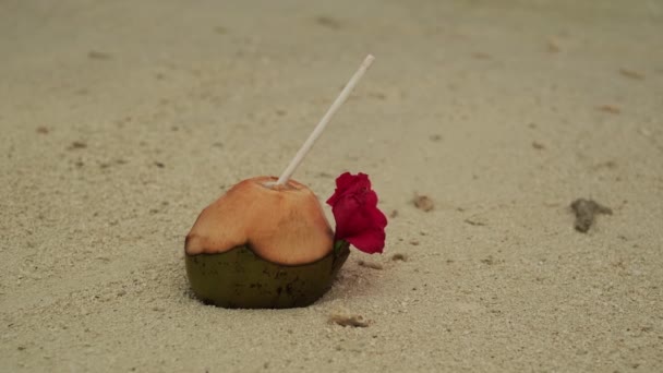 Kokos Włożoną Rurką Kwiatem Leży Piasku Brzegu Morza Fale Surfowania — Wideo stockowe