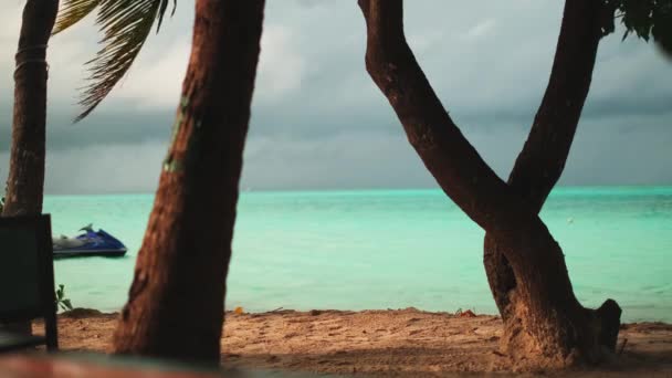 海滨沙滩上的热带棕榈树 在海湾里 一架喷气式滑翔机在波浪中滑行 身后是乌云密布的落日 马尔代夫 慢动作 — 图库视频影像