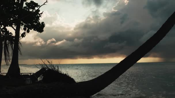 Gyönyörű Felhős Naplemente Trópusi Tenger Felett Háttérben Sandy Shore Pálmafák — Stock videók
