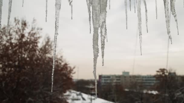 窗上的冰柱映衬着冬日的天空和城市 — 图库视频影像