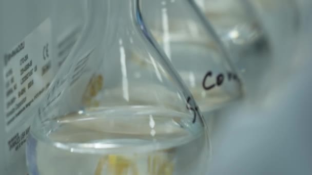 化学玻璃器皿 在实验室里反冲 慢动作 — 图库视频影像