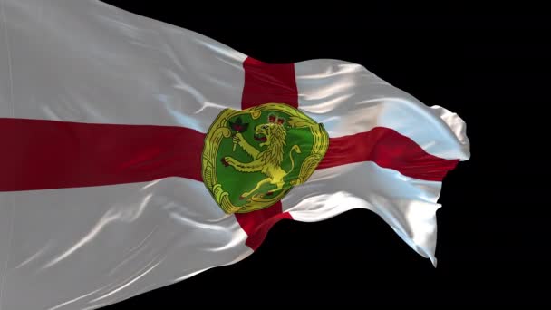 Animace Národní Vlajky Alderney Vlnící Větru Alfa Kanál Přítomen — Stock video