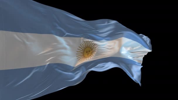 Animace Národní Vlajky Argentiny Vlnící Větru Alfa Kanál Přítomen — Stock video