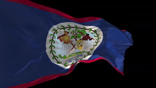 Animace Národní Vlajky Belize Vlnící Větru Alfa Kanál Přítomen — Stock video