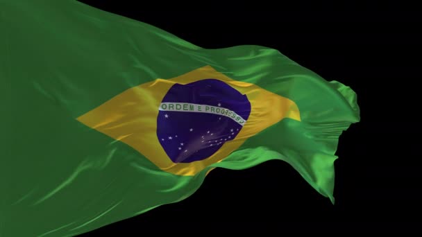 Animation Det Nationale Flag Brasilien Vinker Vinden Alfakanalen Til Stede – Stock-video