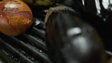 Domates, kabak, patlıcan, soğan ve diğer sebzeler ızgara. Yavaş Hareket, Kapat.