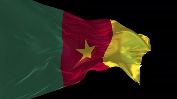 Animace Národní Vlajky Kamerunu Vlnící Větru Alfa Kanál Přítomen — Stock video