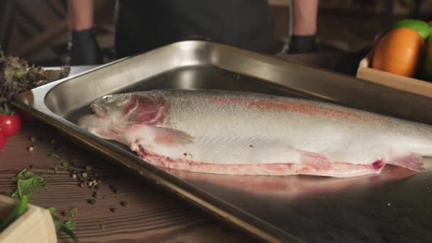 Chef Guanti Salatura Pesce Sul Tavolo Della Cucina Tra Erbe — Video Stock