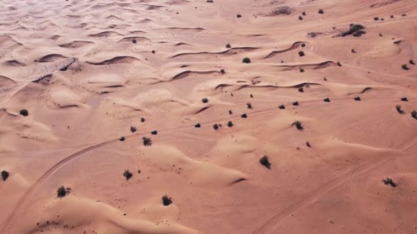 Egy Drón Átrepül Egy Bogaras Karavánon Ami Keresztülmegy Sivatagi Homokon — Stock videók