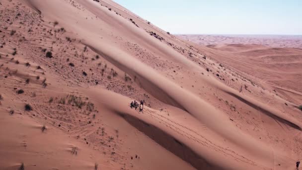 Drone Vista Persone Che Cavalcano Una Tavola Sulle Dune Sabbia — Video Stock