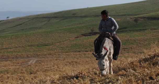 Tashkent Uzbekistan 2023 Boy Donkey Central Asian Autumn Mountains Slow — Stock Video