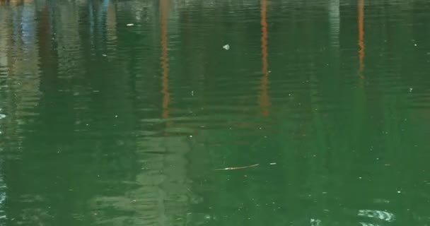 Refleksi Dalam Air Cekungan Emir Kompleks Kuno Kediaman Musim Panas — Stok Video