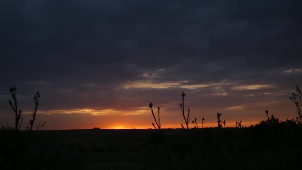 Zonsondergang Heuvels Voorgrond Ziet Men Silhouetten Van Struiken Bloemen Een — Stockvideo