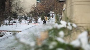 Genç bir adam genç oğluyla karda kızak çekiyor. Etrafta ağaçlar ve kar yığınları var. Kış.