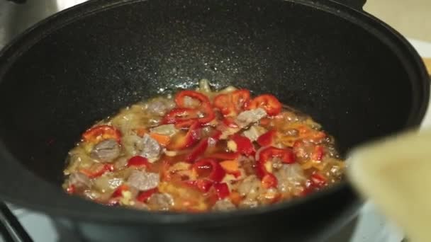 一位老年妇女用木勺把碎辣椒和洋葱在沸腾的油中混合在大锅中 煤气炉 特写镜头 — 图库视频影像