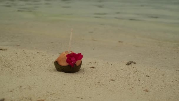 Egy Kókuszdió Egy Behelyezett Csővel Egy Virággal Homokon Fekszik Tengerparton — Stock videók