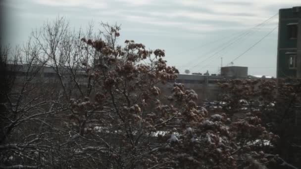 Penceredeki Buz Saçakları Kışın Gökyüzünün Şehrin Arka Planına Karşı Bahar — Stok video