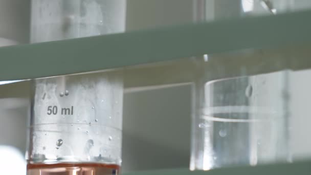 Technik Laboratoryjny Białym Płaszczu Rękawiczkach Ochronnych Wlewa Płyn Naczynia Chemicznego — Wideo stockowe