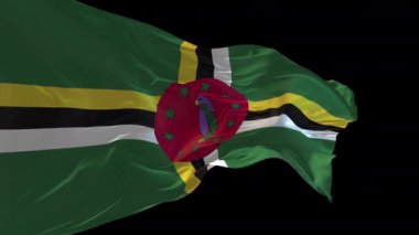 Dominica 'nın rüzgarda dalgalanan ulusal bayrağının 3D animasyonu. Alfa kanalı mevcut..