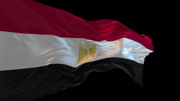 風を振るエジプトの国旗の3Dアニメーション アルファチャンネルが存在する — ストック動画