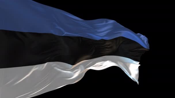 Szélben Lobogtató Észt Nemzeti Zászló Animációja Alfa Csatorna Jelen Van — Stock videók