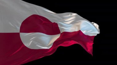 Grönland 'ın rüzgarda dalgalanan ulusal bayrağının 3D animasyonu. Alfa kanalı mevcut..