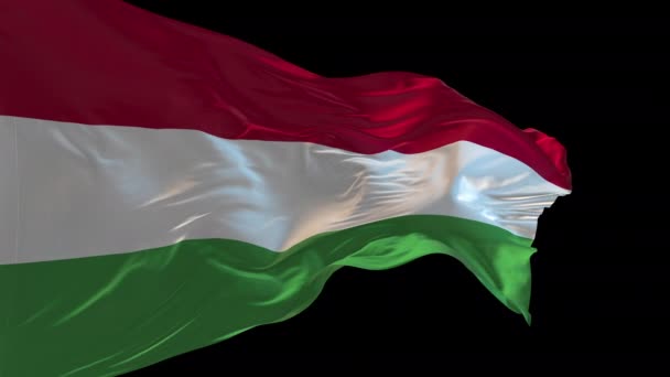 Animation Ungerns Nationella Flagga Viftande Vinden Alfakanalen Närvarande — Stockvideo