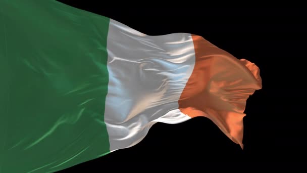 Animation Irlands Nationella Flagga Viftande Vinden Alfakanalen Närvarande — Stockvideo