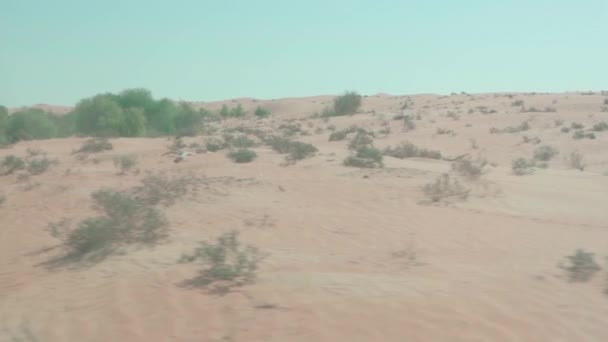 Arabanın Camında Yeşil Çalılar Olan Çöl Kumullarının Manzarası Yavaş Hareket — Stok video