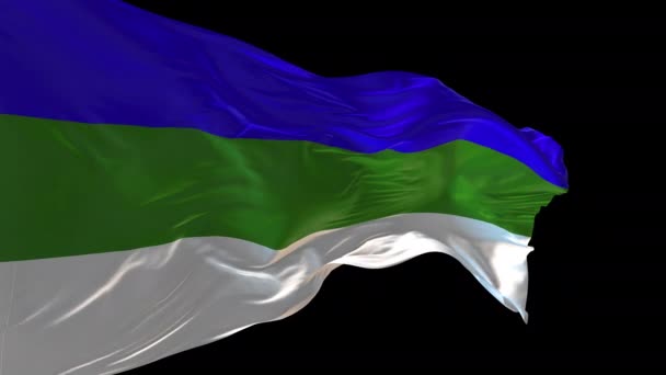 3D动画 科米国旗在风中飘扬 阿尔法通道已经存在 — 图库视频影像