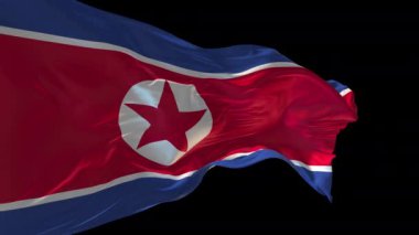 Kuzey Kore bayrağının rüzgarda dalgalanmasının 3 boyutlu animasyonu. Alfa kanalı mevcut..