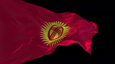 Kırgızistan 'ın rüzgarda dalgalanan ulusal bayrağının 3D animasyonu. Alfa kanalı mevcut..