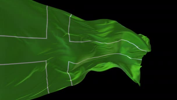 3D动画的拉多尼亚国旗在风中飘扬 阿尔法通道已经存在 — 图库视频影像