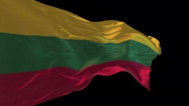 Litvanya 'nın rüzgarda dalgalanan ulusal bayrağının 3D animasyonu. Alfa kanalı mevcut..
