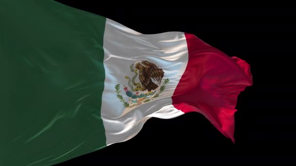Animation Της Εθνικής Σημαίας Του Μεξικού Κυματίζει Στον Άνεμο Κανάλι — Αρχείο Βίντεο